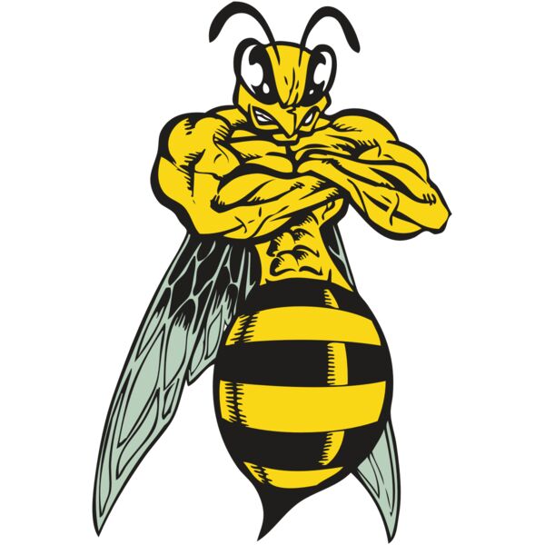 BAW BEE 16 RC Thumbnail