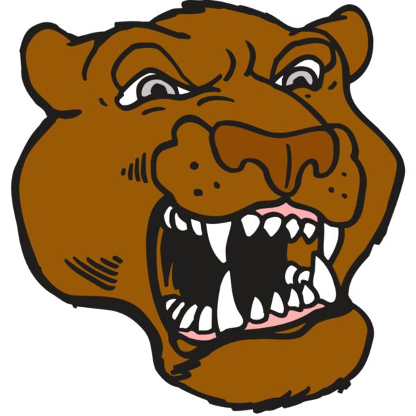 AR5 COUGAR 29 RQC Thumbnail