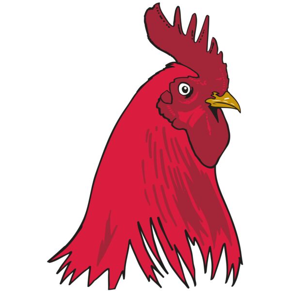 AR OTHER 19 RC Thumbnail