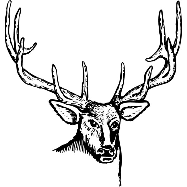 DEER007 Thumbnail